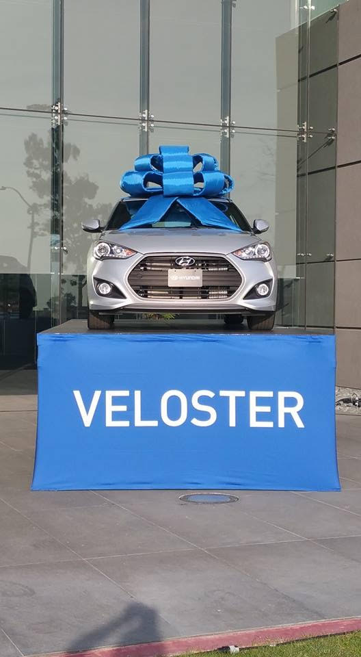 Veloster Blue Bow